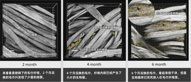 上架的同款毛巾！我们低价搞到了冰球突破豪华版app胖某来刚